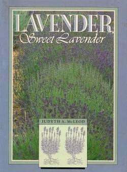 Lavender Sweet Lavender