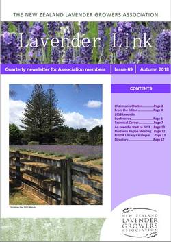 Lavender Link#69