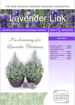 Lavender Link #71