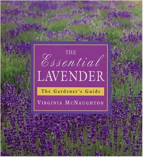 Essential Lavender: The Grower's Guide