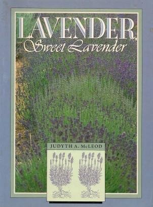 Lavender Sweet Lavender