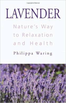 Lavender: Nature's Way to Relaxation and Health