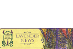 Enews September 2023